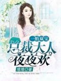 《无敌双宝:首席大人是男神》